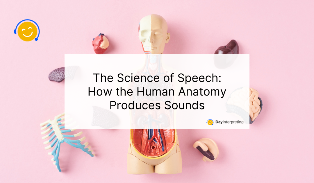 The Science of Speech: How the Human Anatomy Produces Sounds