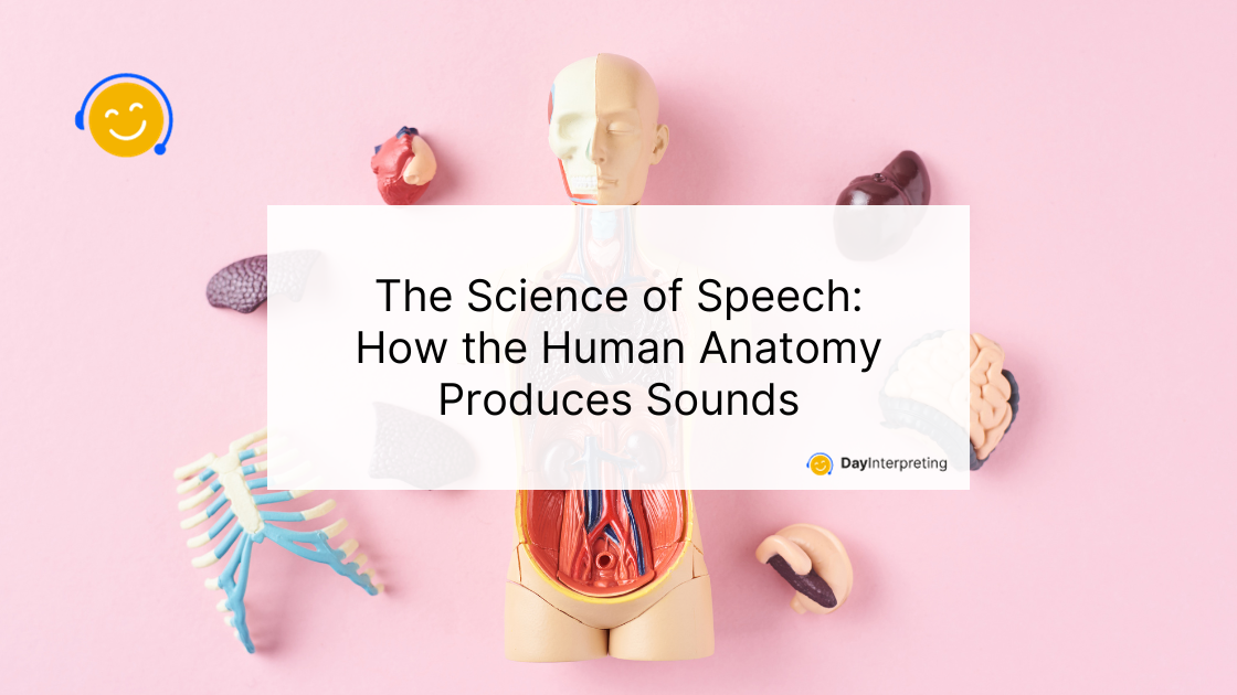 The Science of Speech: How the Human Anatomy Produces Sounds